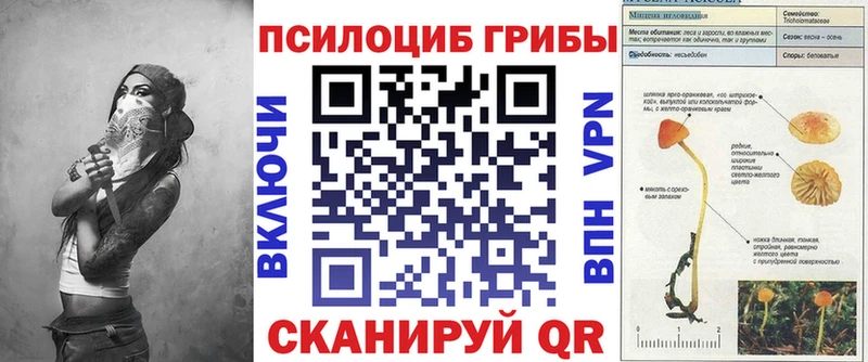 Купить закладки  Ершов  Псилоцибиновые грибы прущие грибы 